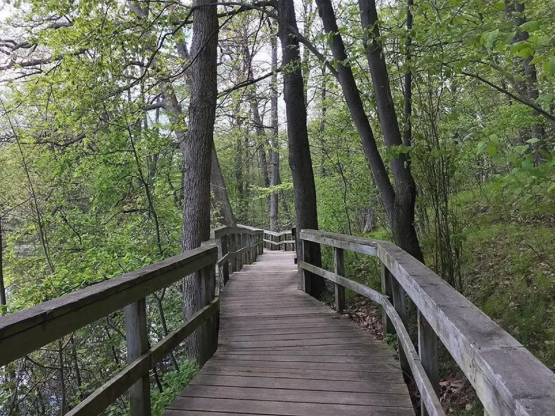 Rattray Marsh Conservation Area – Near By Places Brampton Naturopath Osteopath Clinic, Call Us (647) 691-6492