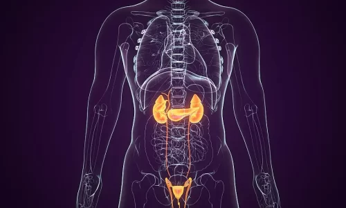 Genitourinary-Renal-System-Conditions