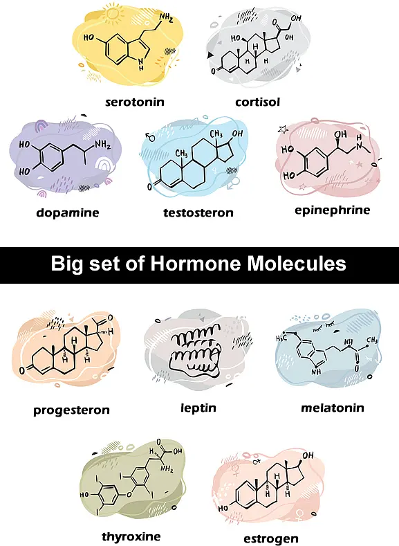 Hormones