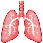 Respiratory Conditions