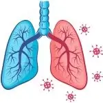 Respiratory System Conditions