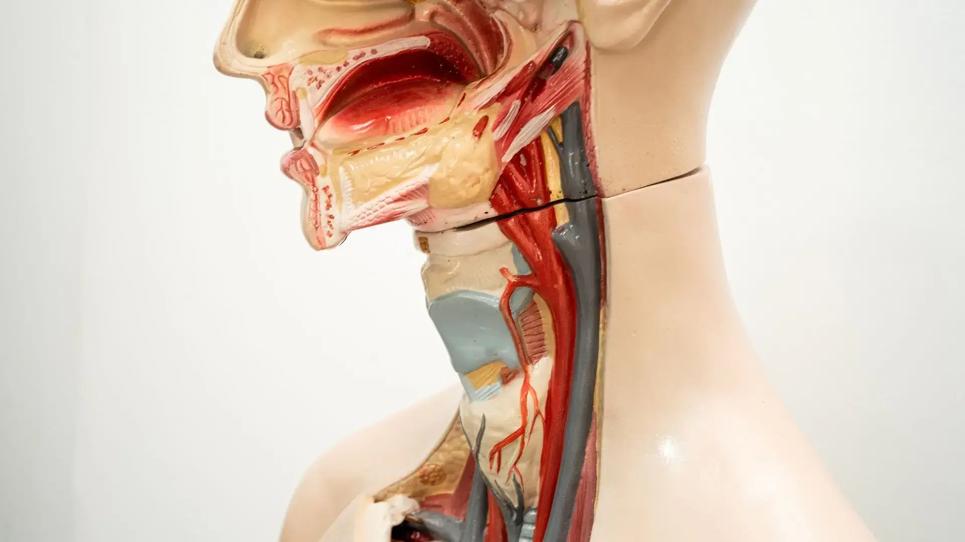 Osteopathic Treatment for Ear, Nose and Throat Problems in Etobicoke