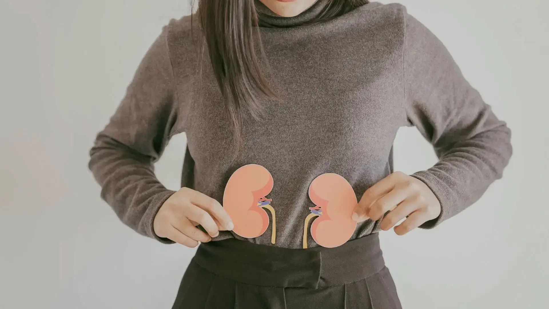 Kidneys, Genitourinary / Renal System Conditions