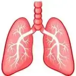 Respiratory Conditions