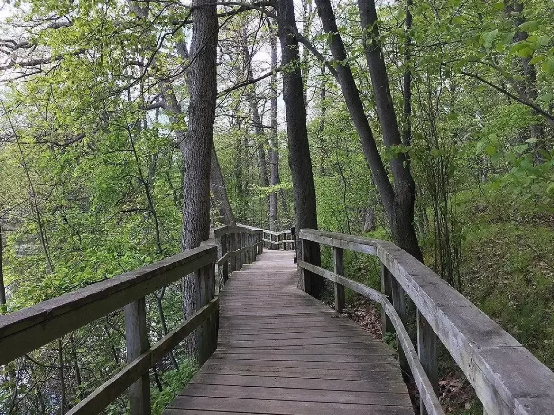 Rattray Marsh Conservation Area – Near By Places “Etobicoke Naturopath Osteopath Clinic”, Call Us (647) 691-6492