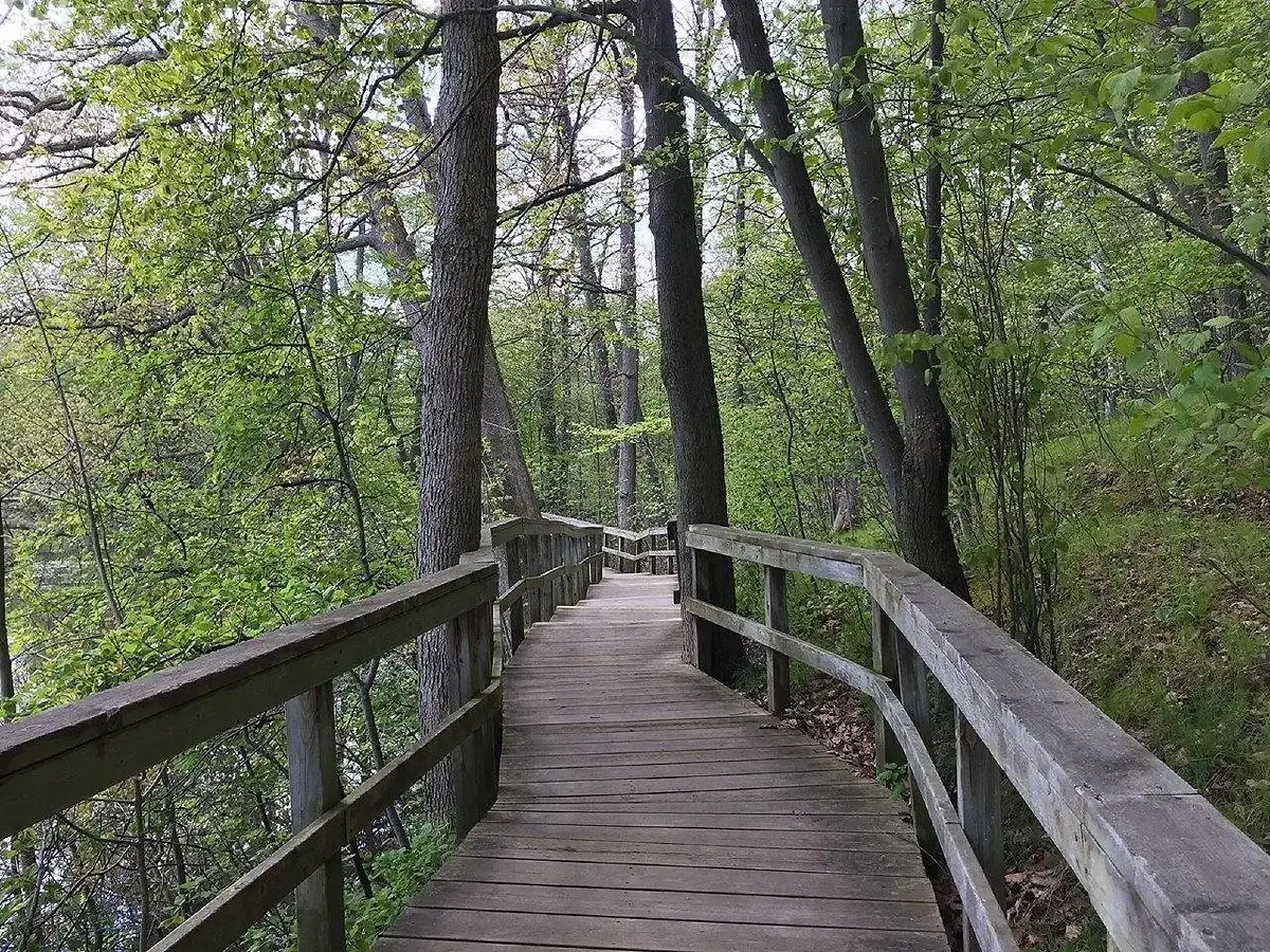 Rattray Marsh Conservation Area – Near By Places “Etobicoke Naturopath Osteopath Clinic”, Call Us (647) 691-6492