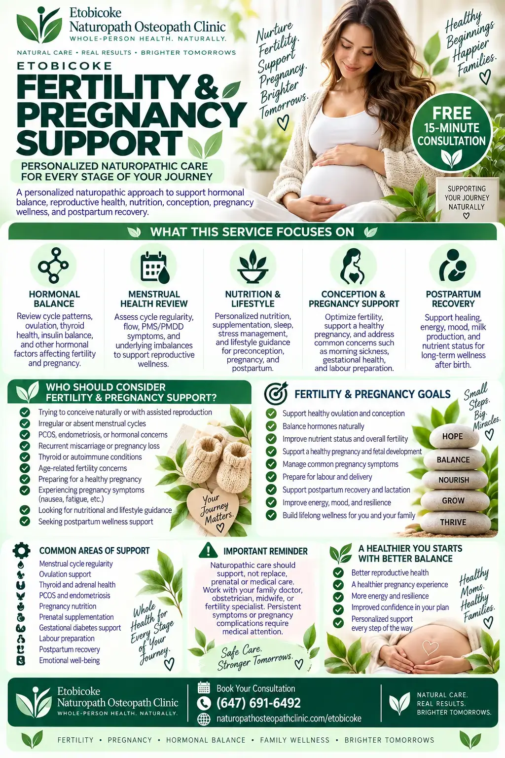 infographic naturopathic fertility pregnancy support