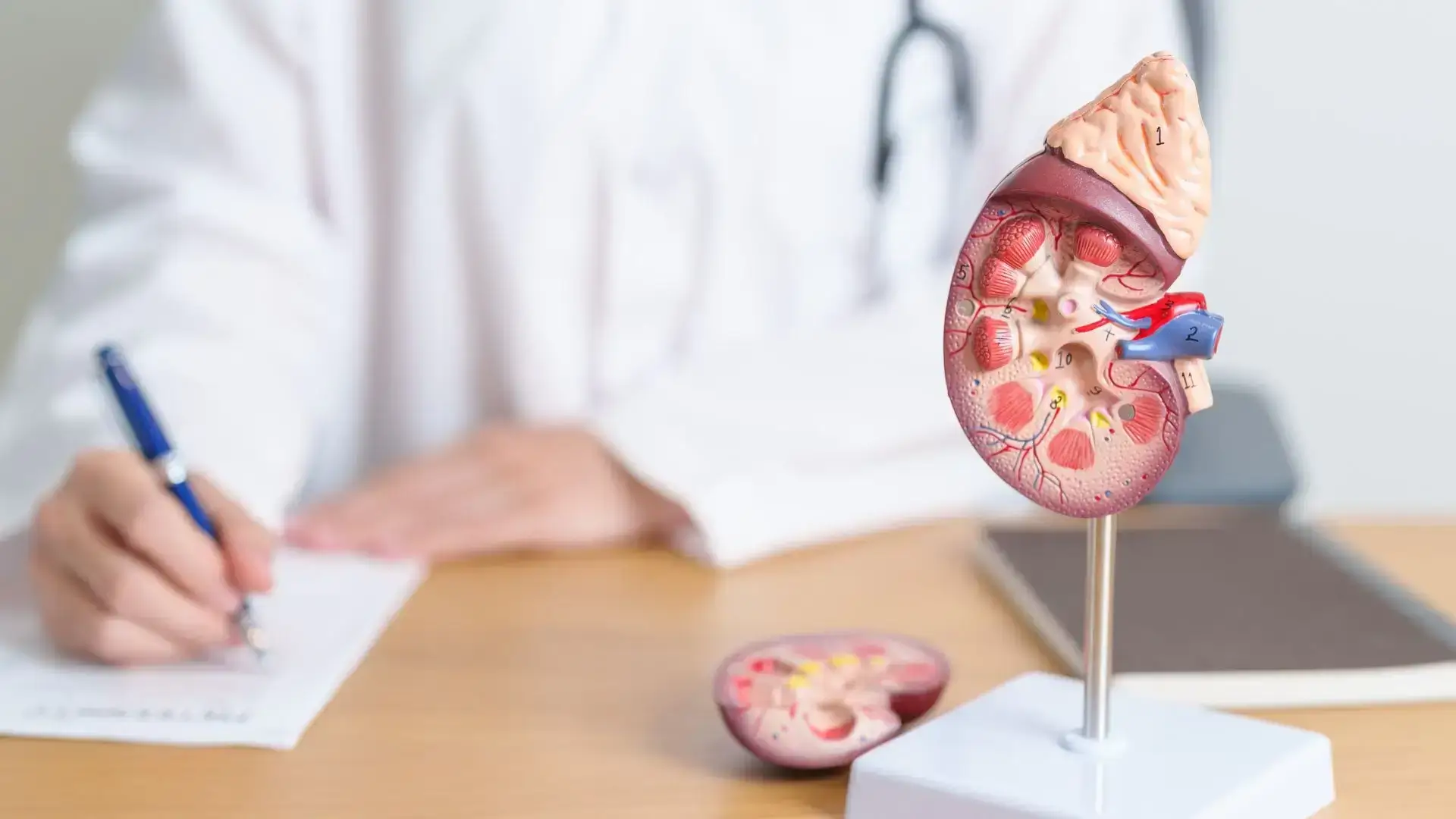 Adrenal Function Test