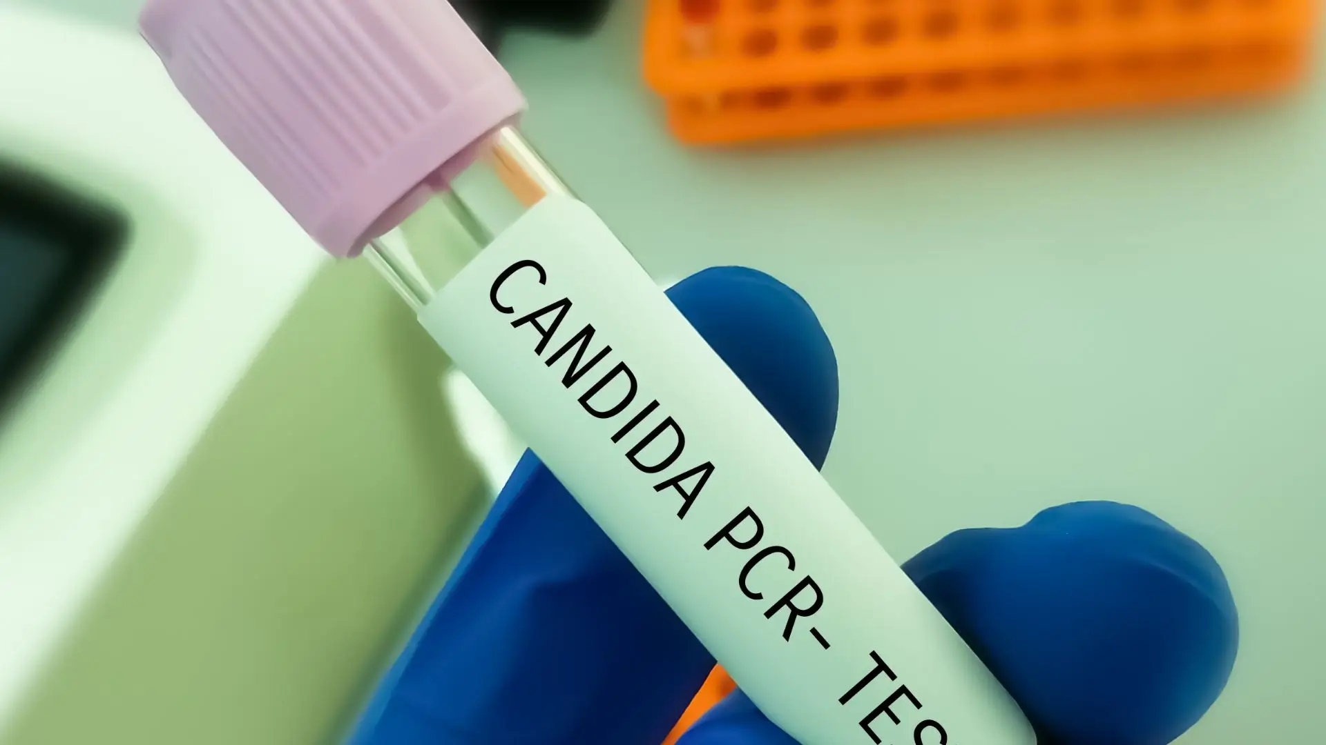 Candida PCR Test