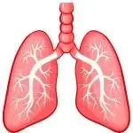 Respiratory Conditions