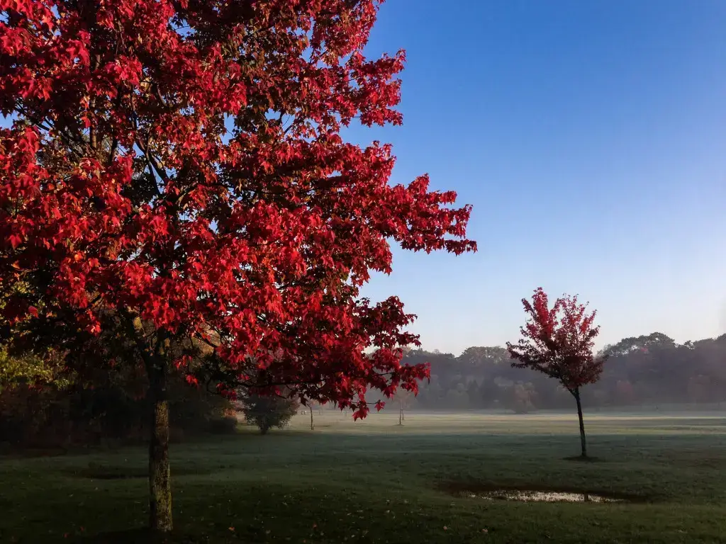 Erindale Park – Near By Places “Oakville Naturopath Osteopath Clinic”, Call Us (647) 691-6492