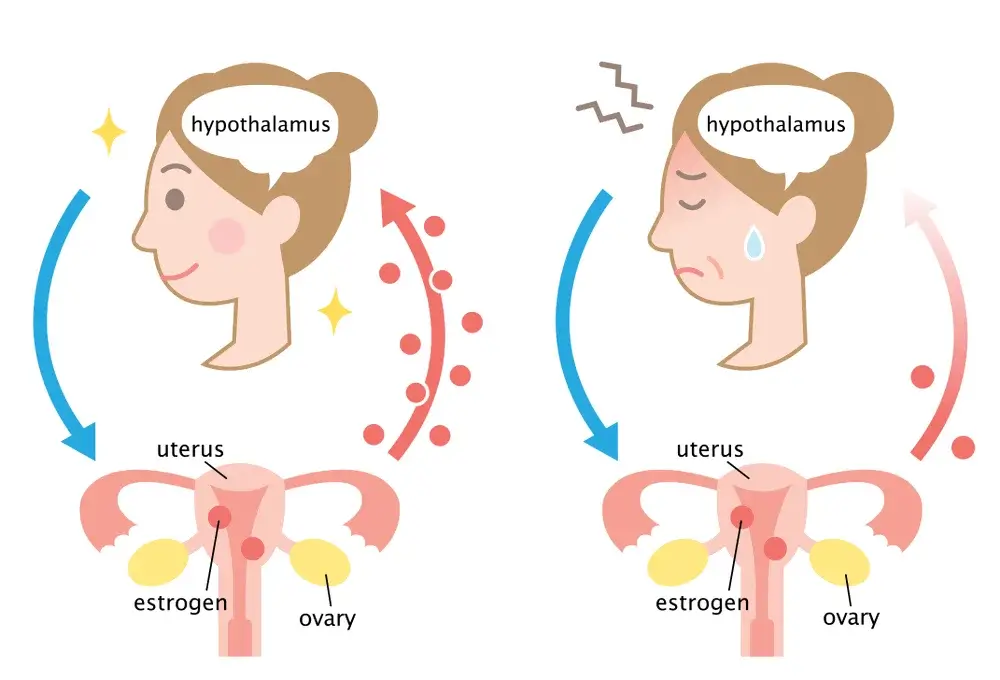 Undergoing Ovarian Surgical Removal: A Naturopathic Approach