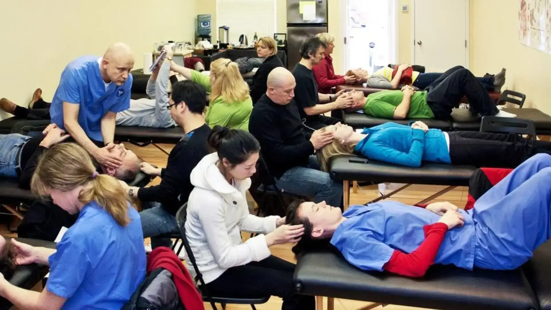 The Southern Ontario College of Osteopathy