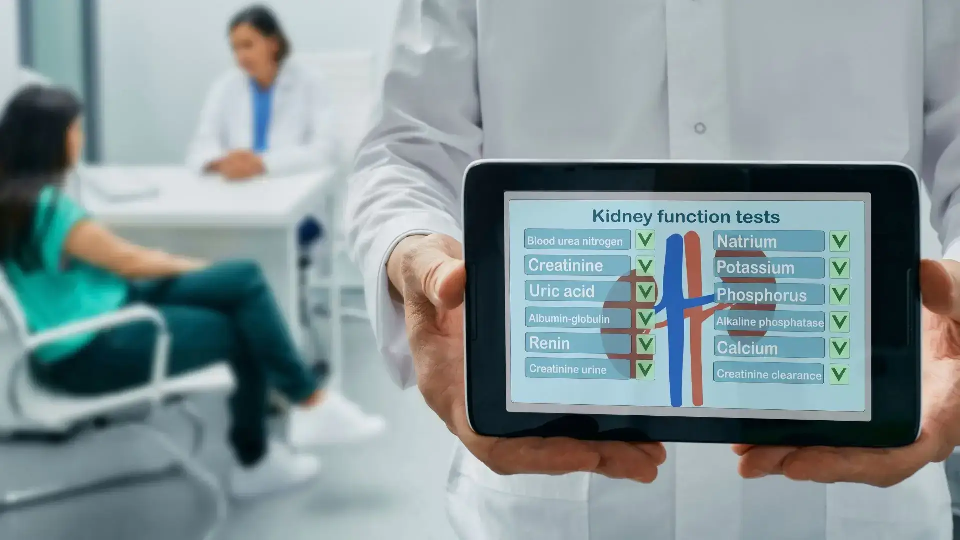 Kidney Function Test