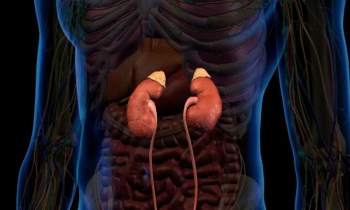 Genitourinary/Renal System Conditions